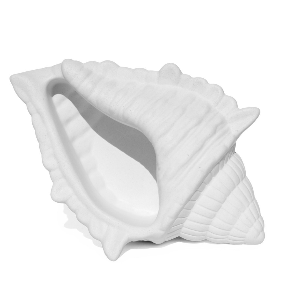Porta Objetos Concha Oceano Grande Artesanal 17×11,5cm Em Resina Mineral