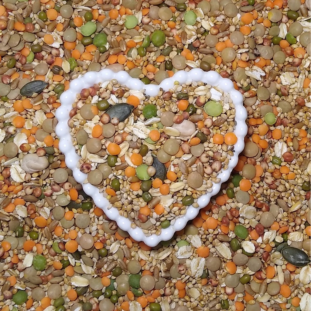 Mix de Sementes Caseiro Balanceado para Hamster – 150g, 250g, 500g