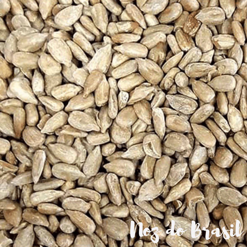 Semente de Girassol Torrada sem Sal – 500 g (Noz do Brasil)
