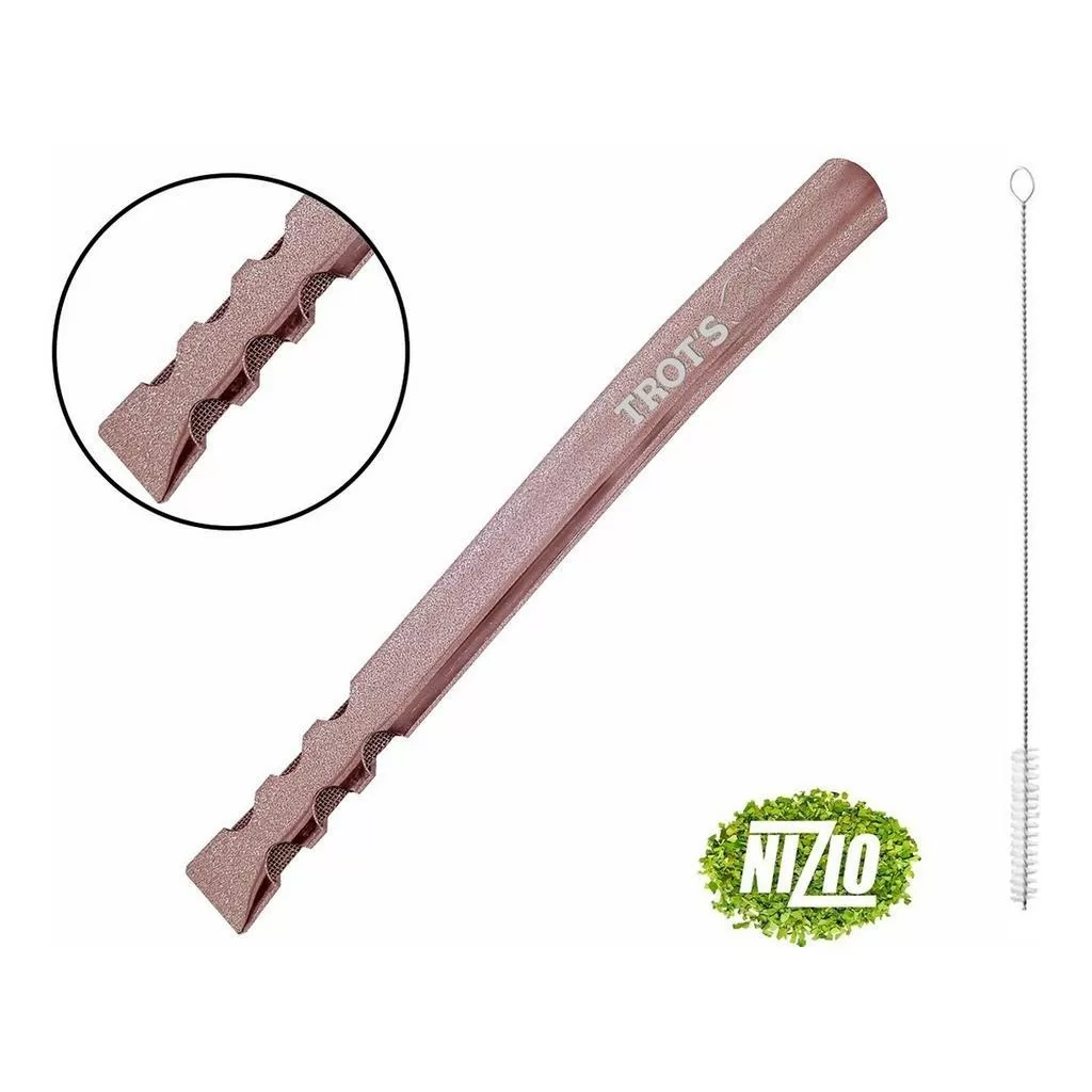 Bomba De Terere Inox Chata Rose Trots Premium A Bruta