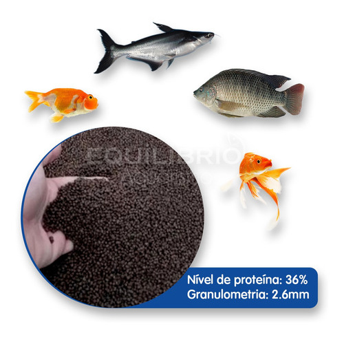Ração Para Carpas, Kinguios, Tilápias E Outros 
