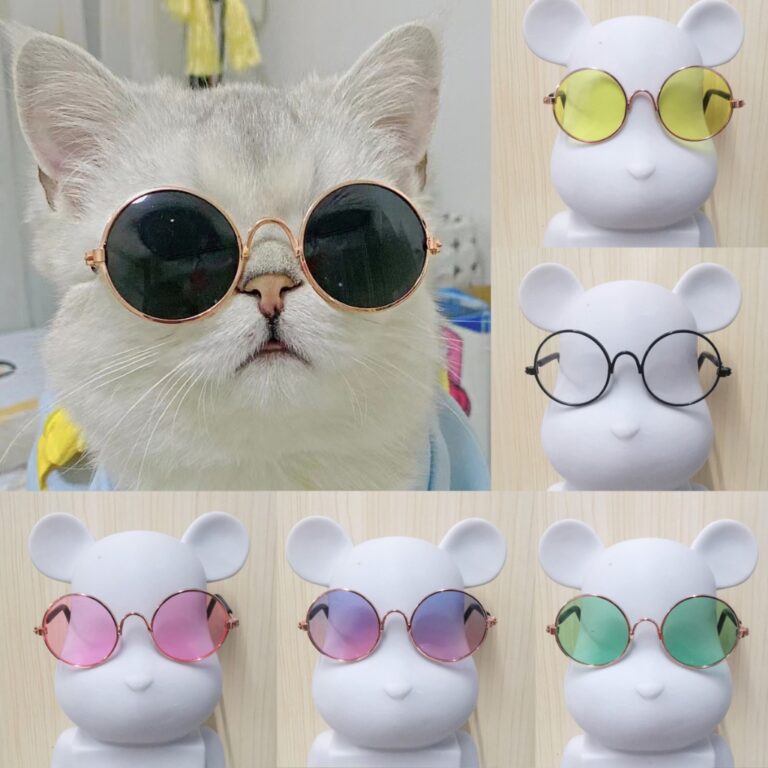 Óculos De Sol Para Gatos Cachorro Teddy Personali