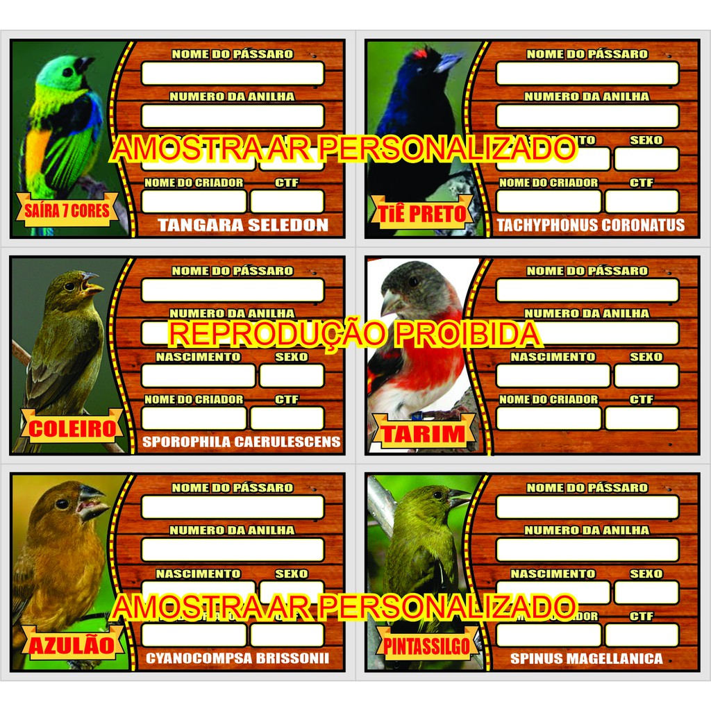 Placa De Gaiola Identificação De Pássaro 100 unidades podendo enviar sortido de acordo com sua neces