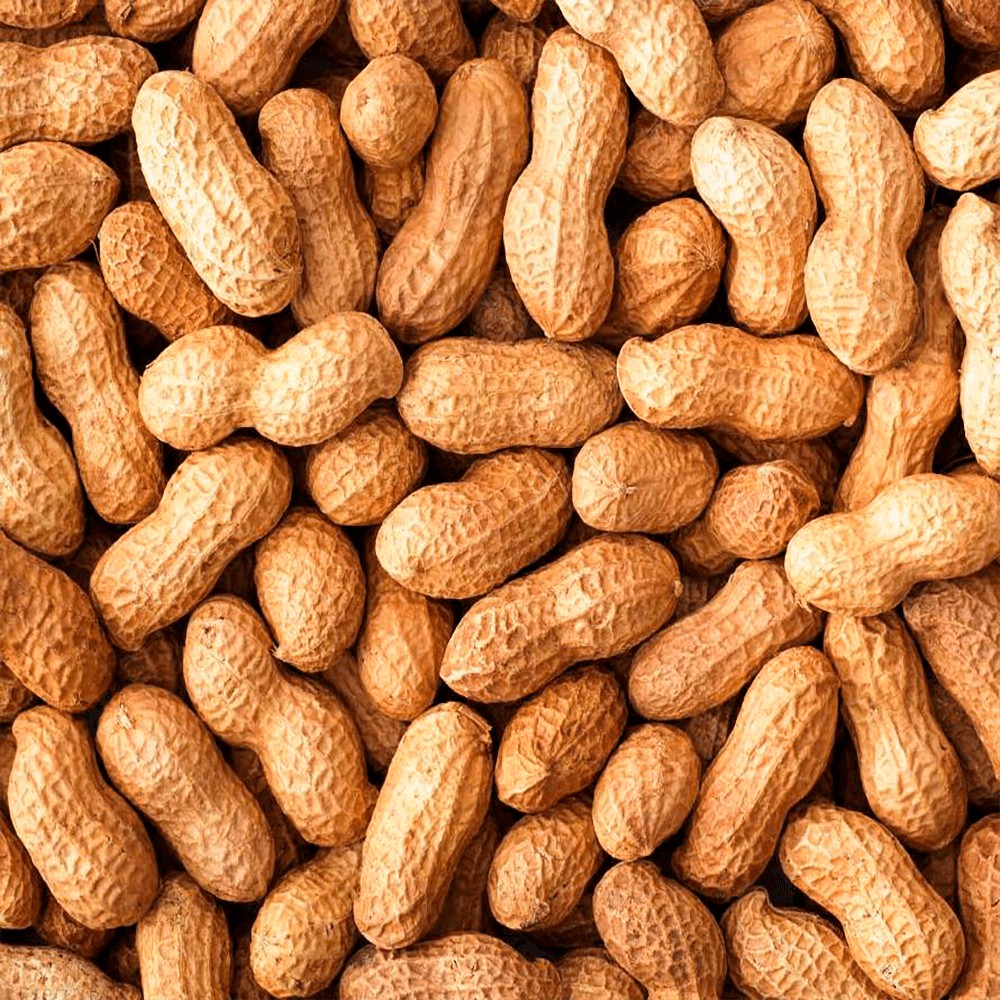 Amendoim Cru (Graúdo) in natura  C/ Casca 500g