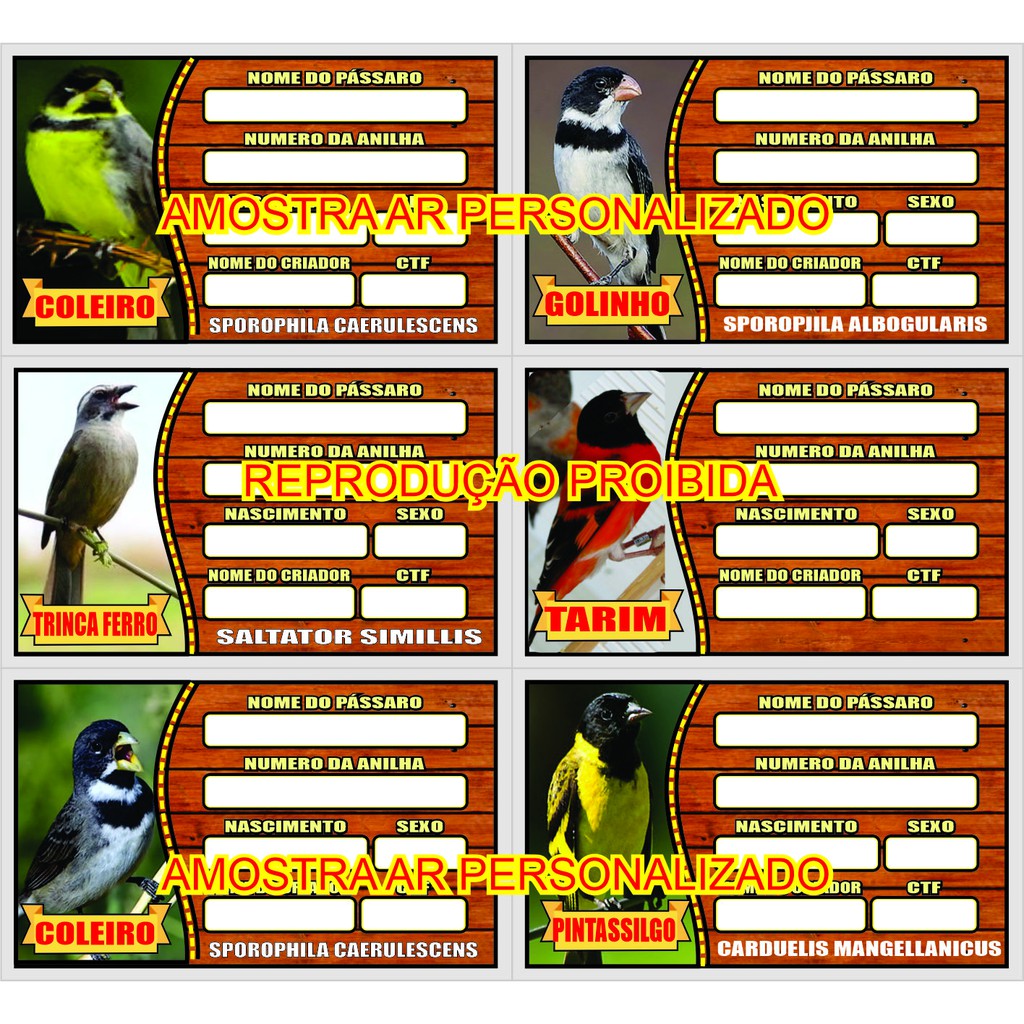 Placa De Gaiola Identificação De Pássaro 20 unidades neste anuncio