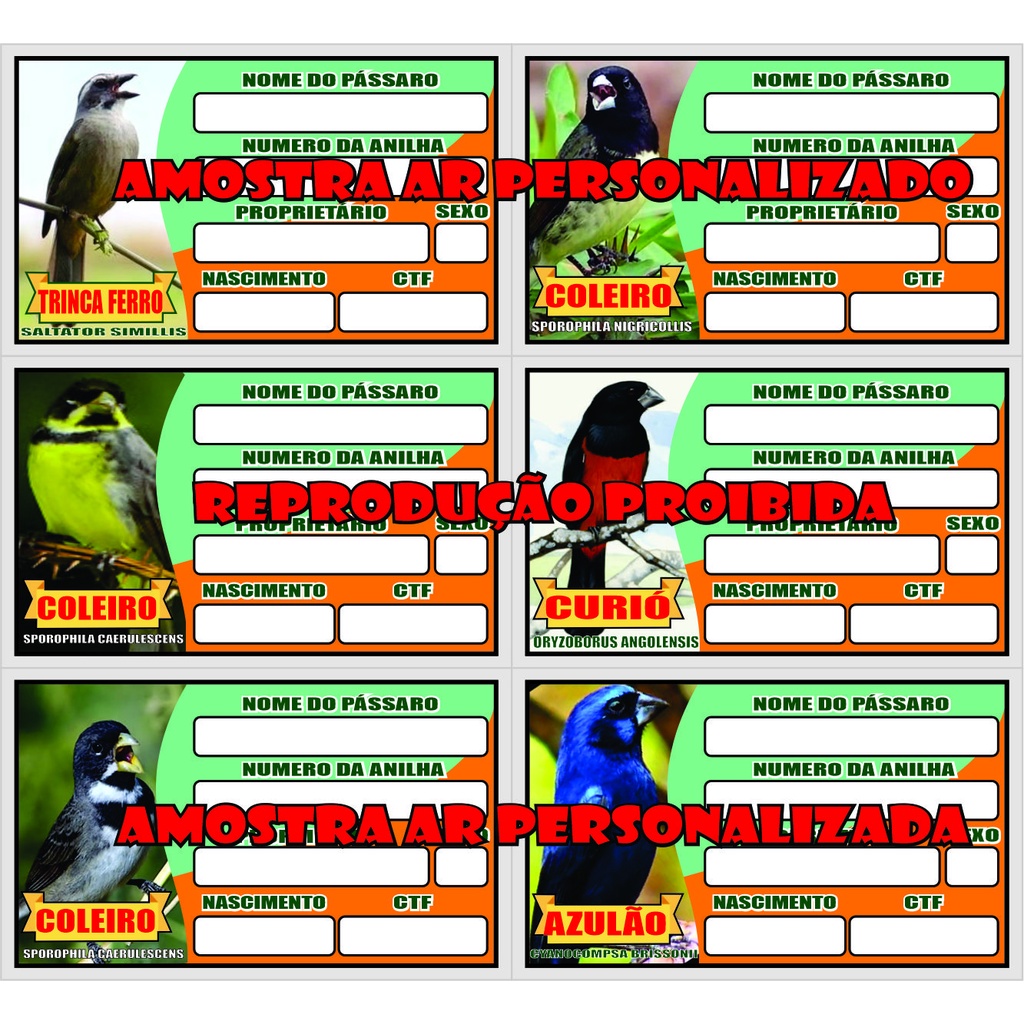 20 Placas De Gaiola Identificação De Pássaro tipo crachá  podendo ser enviado sortido de acordo com
