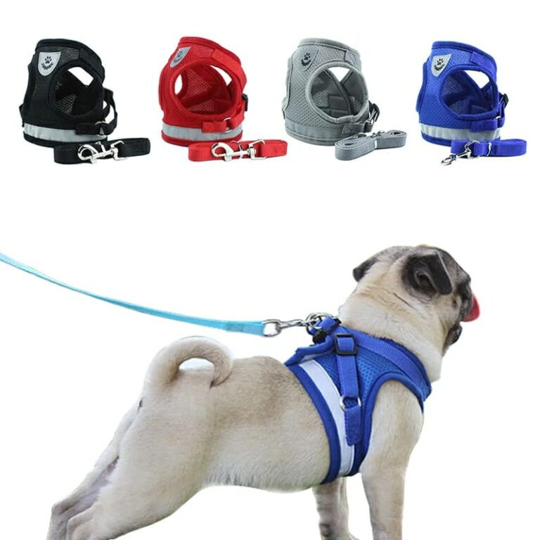 Peitoral Mais a Guia para Cachorro Coleira Para Ca