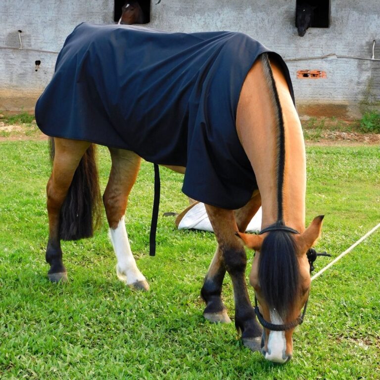 Capa Cavalo Chuva Térmica Inverno Impermeável Co