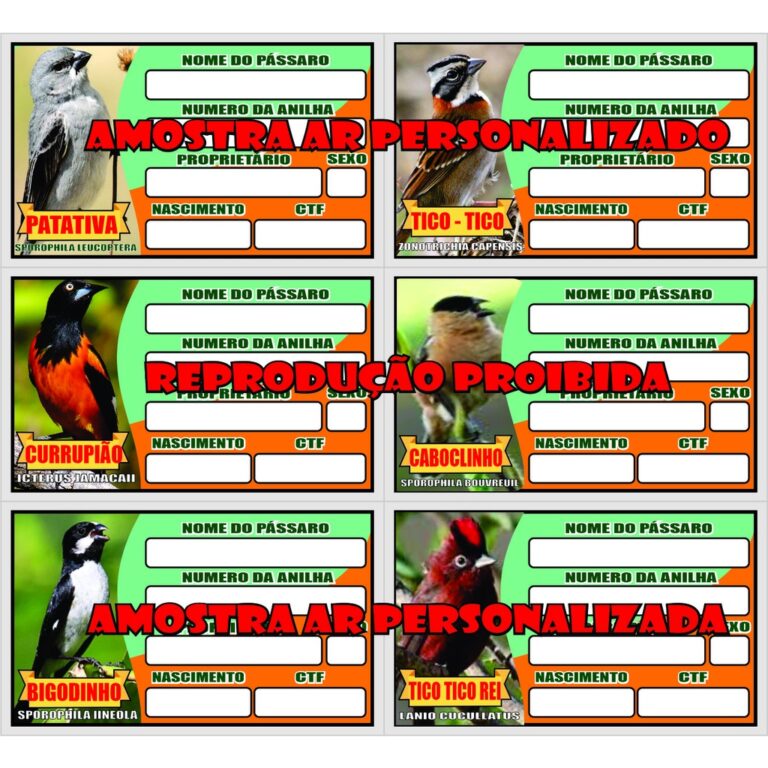 10 placas  De Gaiola Identificação De Pássaro  