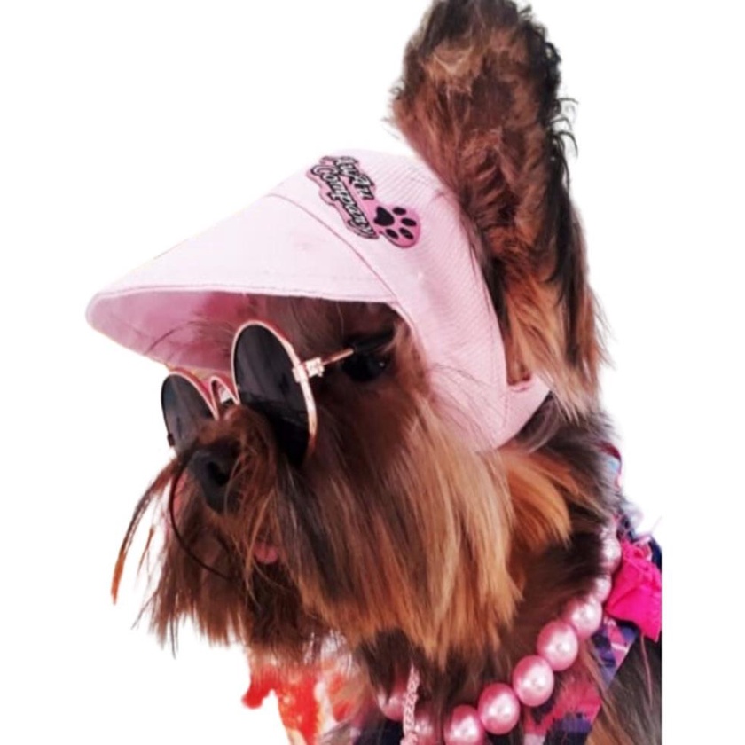 Bone De Cachorros E Gatos