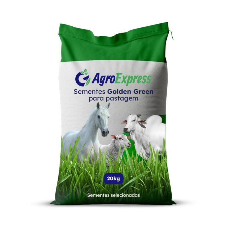1kg Sementes para pastagem capim Tamani Para Capri