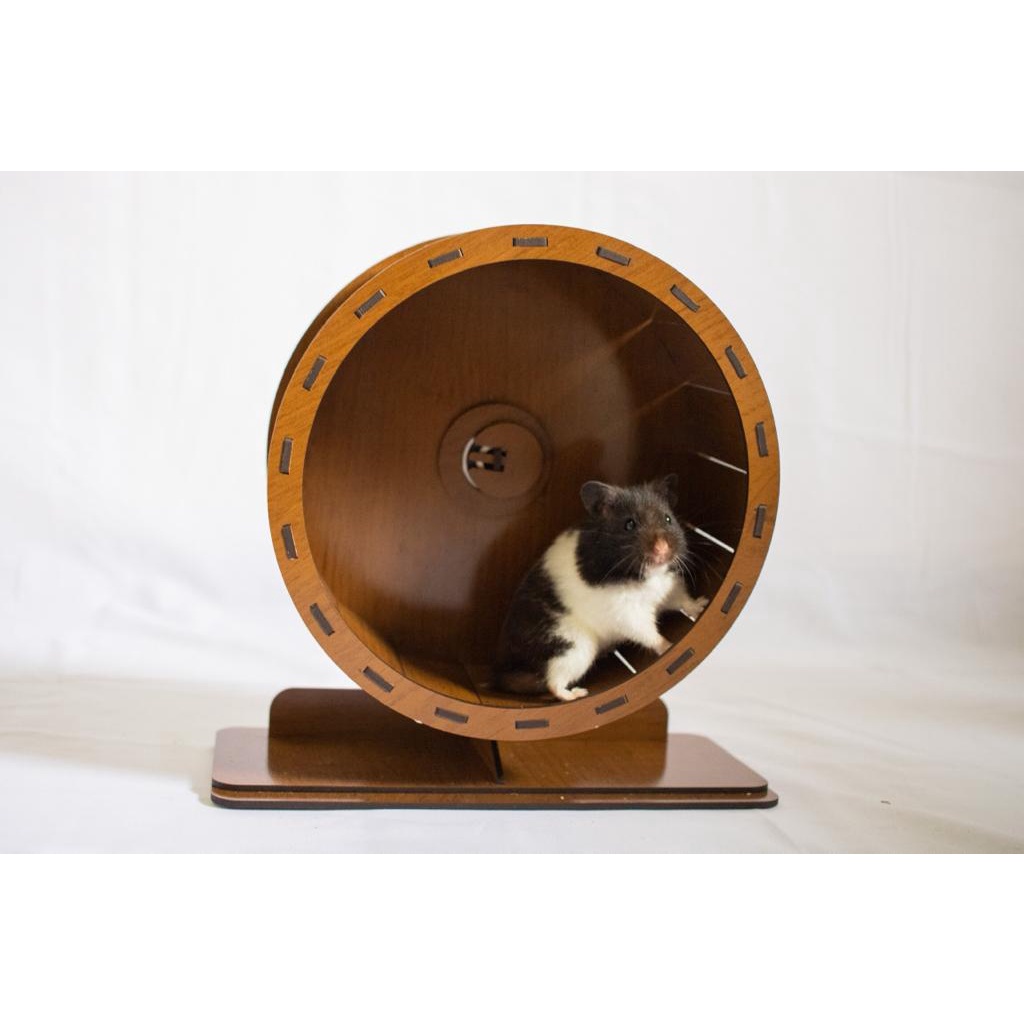 Rodinha de Hamster Roda para hamsters Silenciosa vários tamanhos