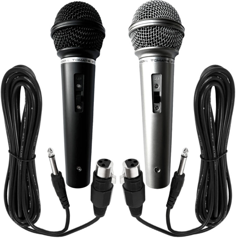 Microfone Karaoke Duplo Igreja Bar Palestra Com 2 