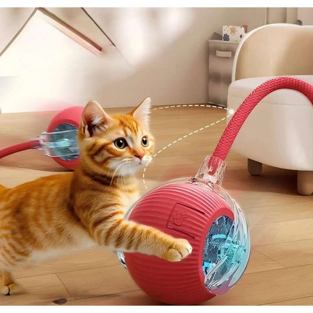 Brinquedos Inteligentes Para Gatos pets Bola De Rolamento Automática Cauda Falsa Recarregável Elétri