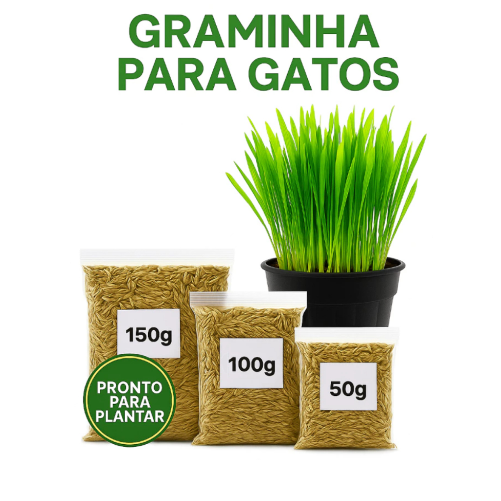Sementes Graminha para Gatos Capim Natural Petisco Anti Bola de Pelo Digestão 50g 100g 150g