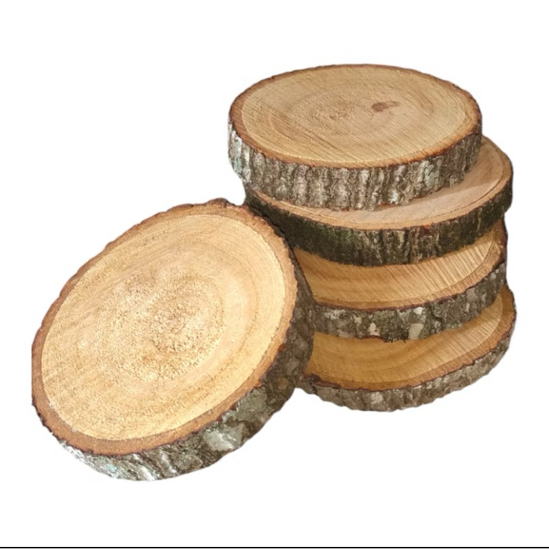 Bolacha de Mogno Africano Madeira Rustica – 14 a 24 cm