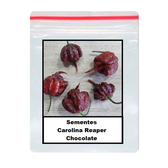 100 Sementes Carolina Reaper Chocolate