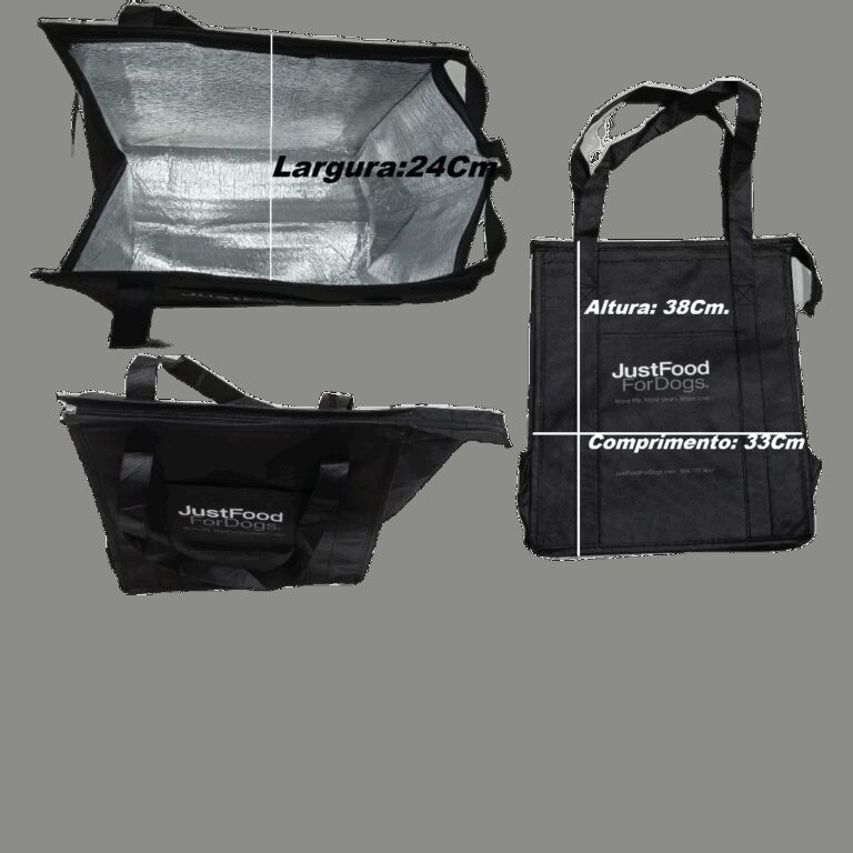 Bolsa Sacola Térmica Grande Com Alça e Fecho De 
