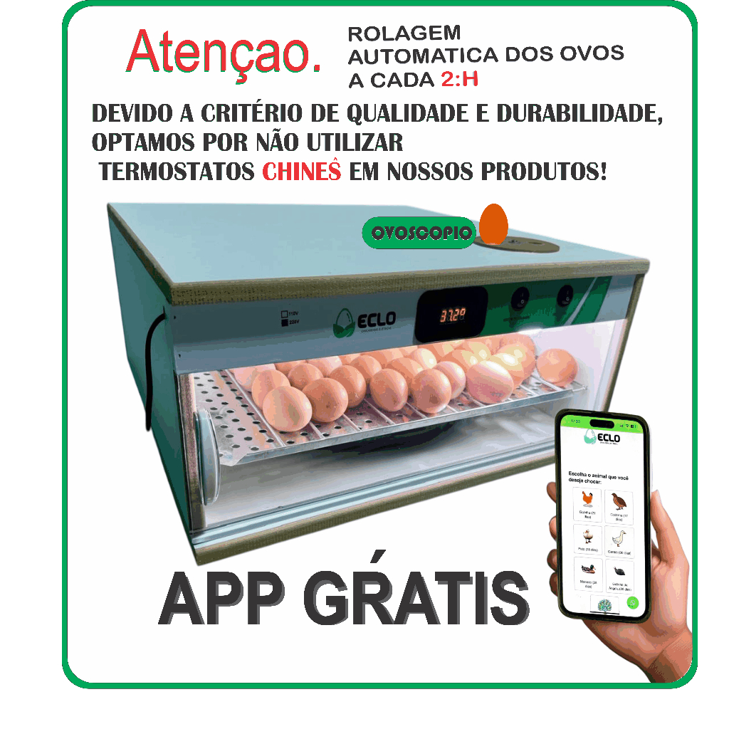 Chocadeira Automática 36 Á 42 Ovos de Galinha  + Ovoscópio