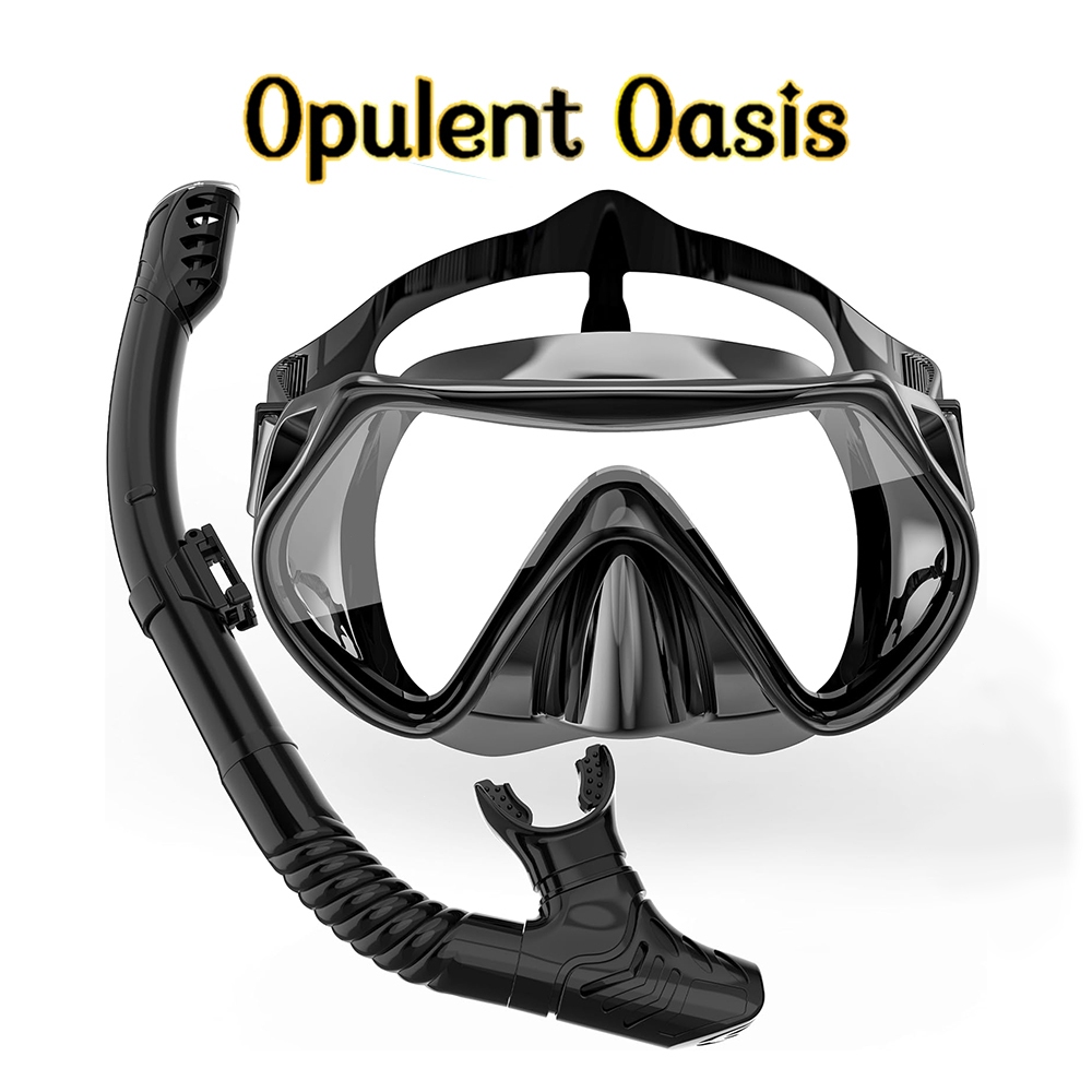 Equipamento de mergulho com snorkel para adultos Conjunto de máscara com snorkel seco Óculos de nata