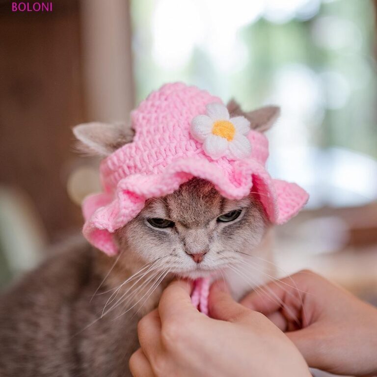 Chapéu De Gato BOLONI Inverno 2025 Crochê Elást