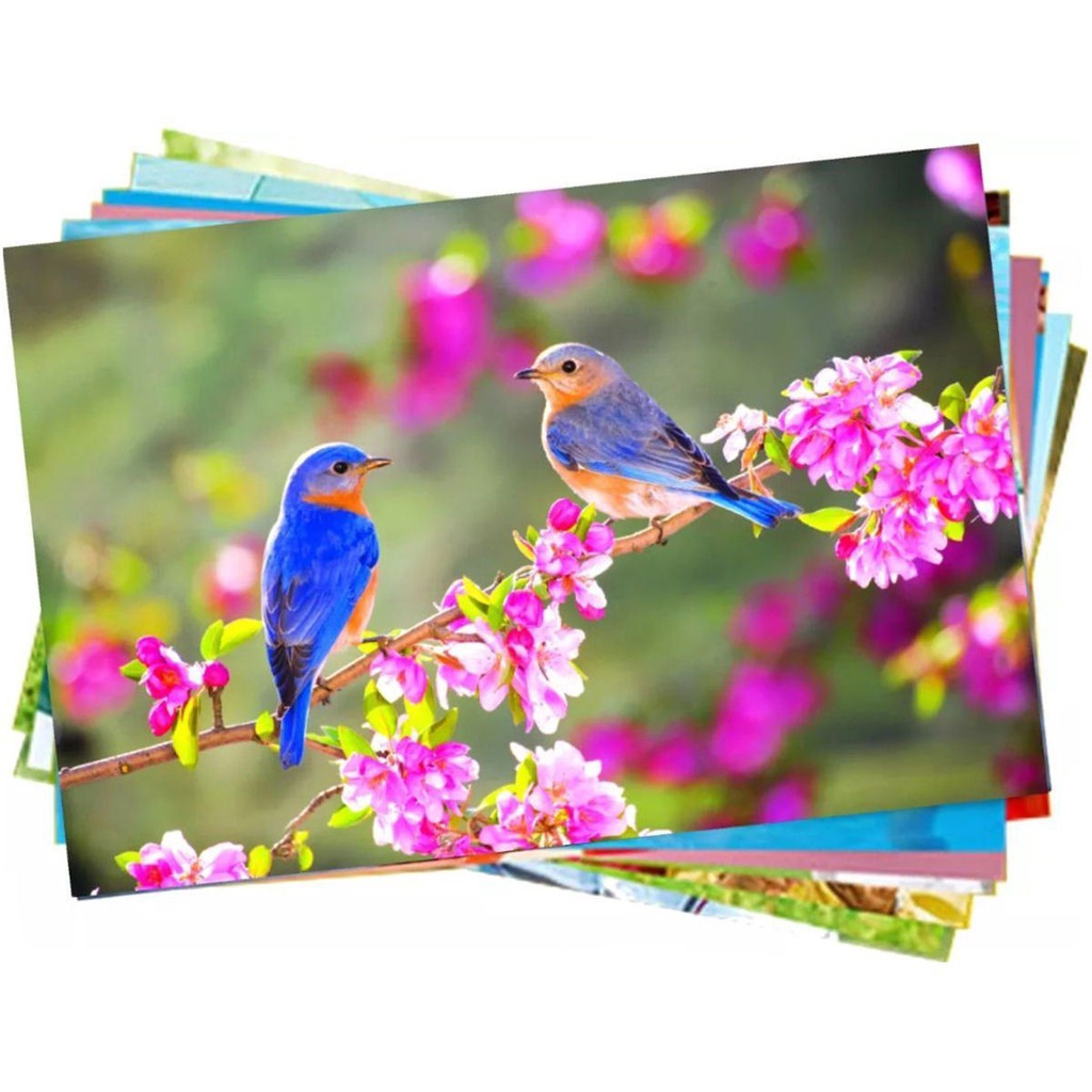 Papel Fotográfico A4 120g Glossy Branco Brilhante com 200 folhas