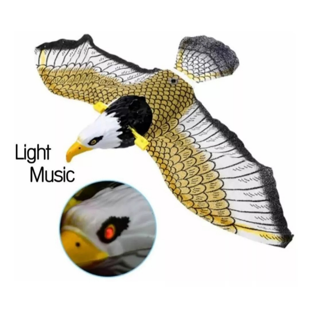 Águia Gavião Espanta Pássaros Afasta Pombos Pardais Realista