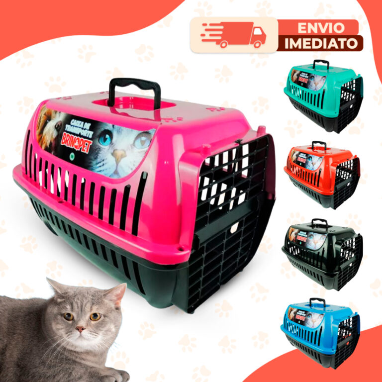 Caixa De Transporte Cachorro Gato 1 ou 2 Com 4 Tra