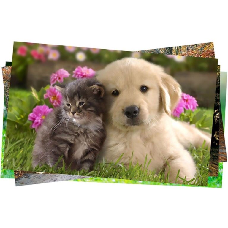 Papel Fotográfico A4 180g Glossy Branco Brilhante