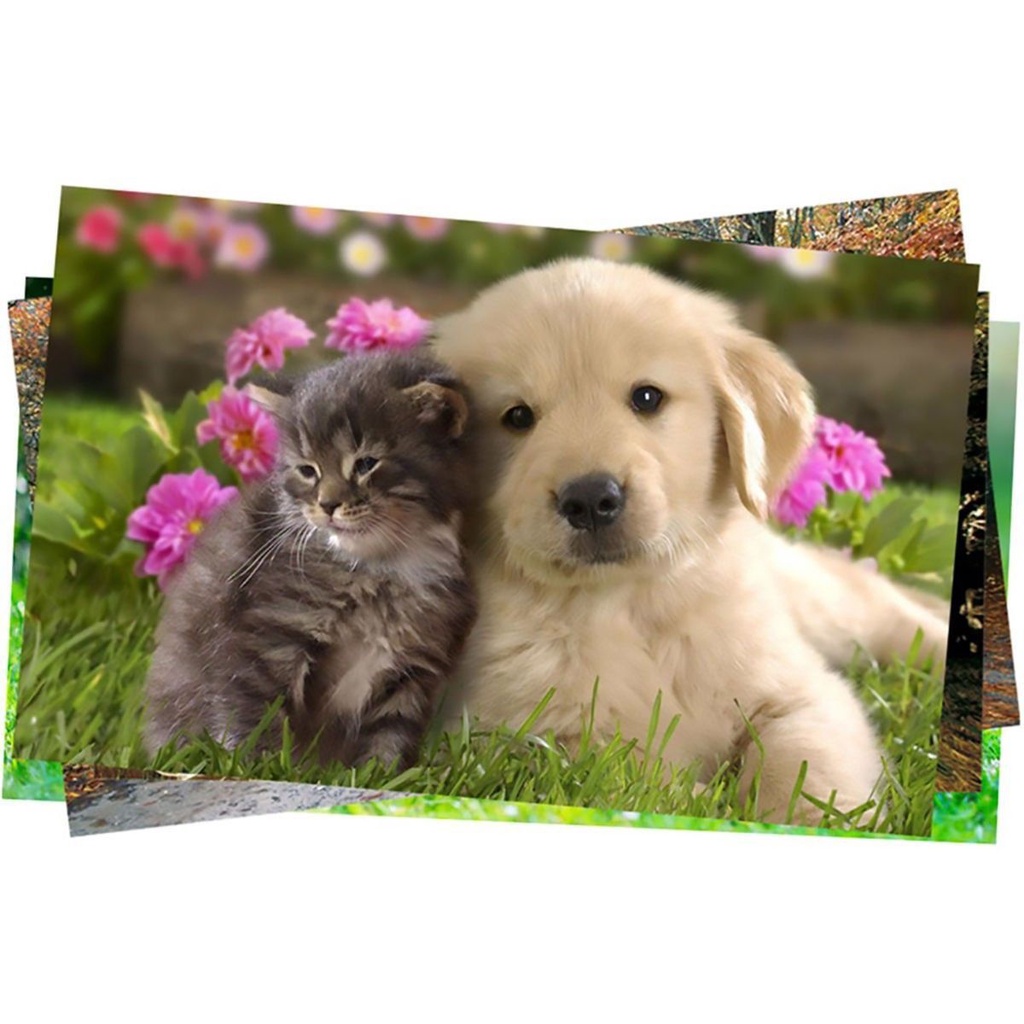 Papel Fotográfico A4 180g Glossy Branco Brilhante com 200 folhas