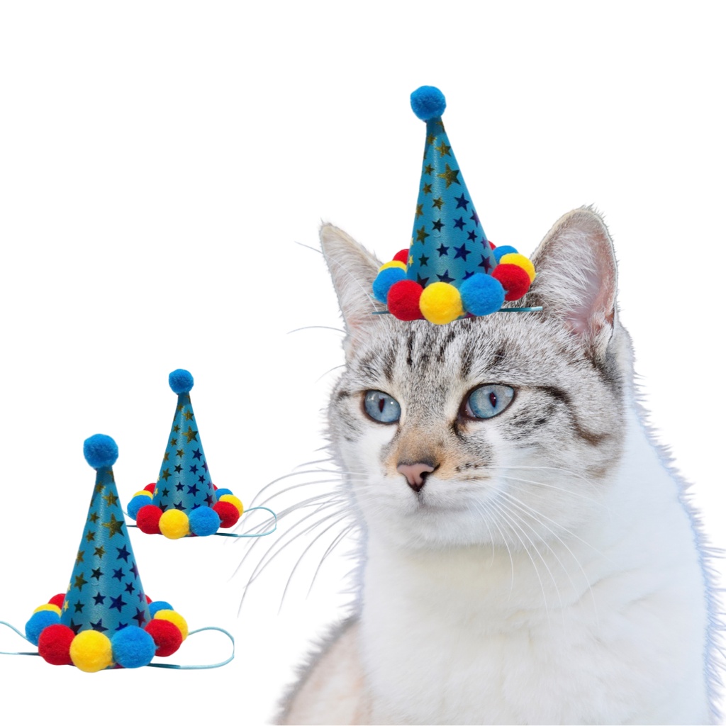 Chapéu Gorro para Cachorro Gato Roupa Fantasia Pet Azul Feliz Aniversário
