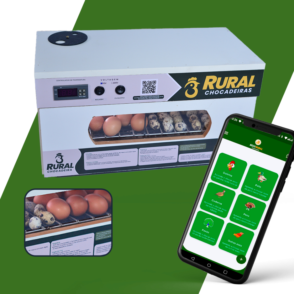 Chocadeira Eletríca 50 ovos de Galinha ou 100 ovos de Cordorna + APP