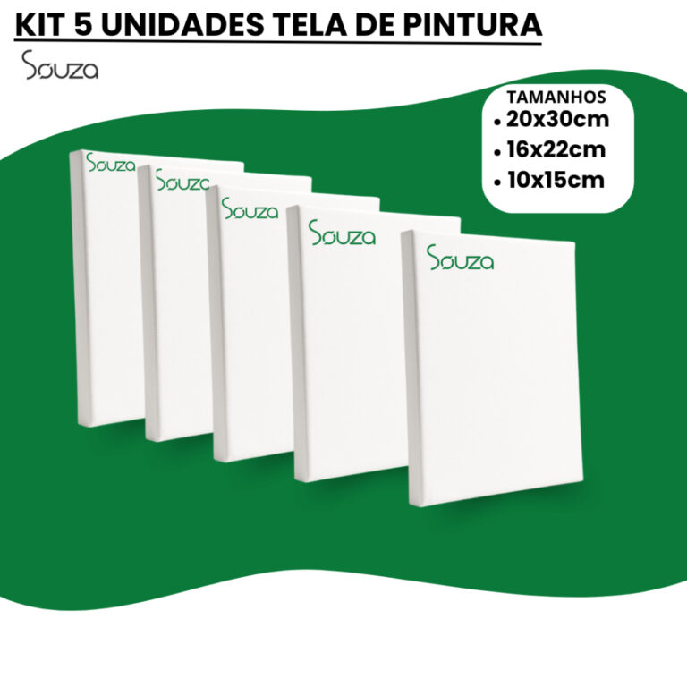 Kit 5 Tela Para Pintura Branca Souza Profissional 