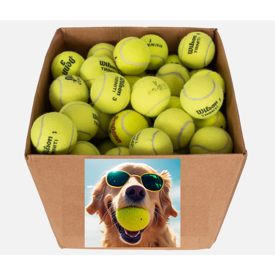 Bola de tênis original usada marcas variadas para pets cachorro cães bolas de tennis bolinha tenis
