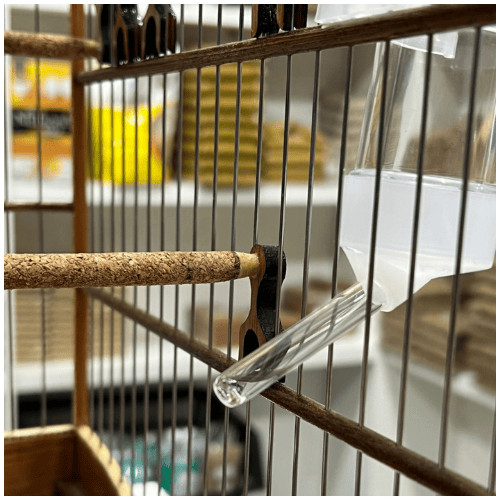 Kit 2 Bebedouro Automático: Aves Bico de Vidro 50