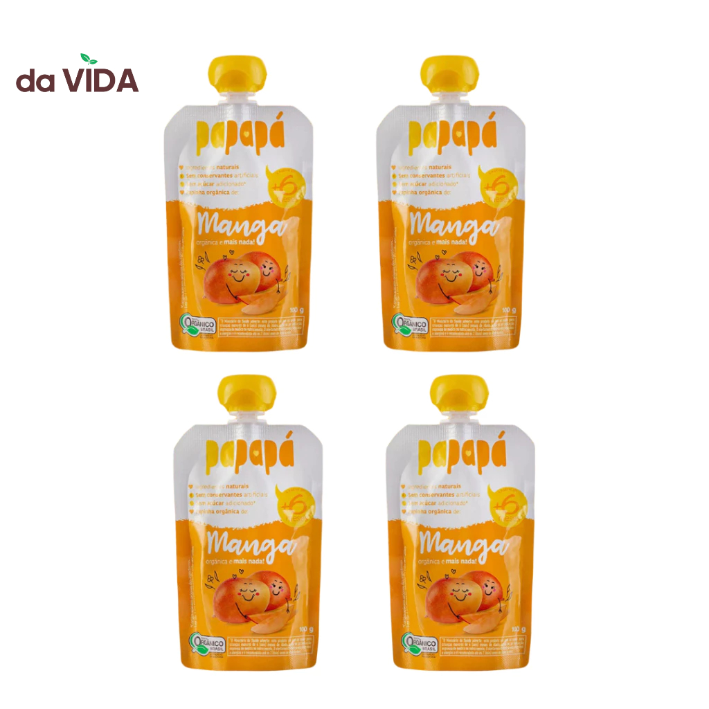 PAPAPA KIT 4UN – 1 SABOR – PAPINHA ORGANICA 100G