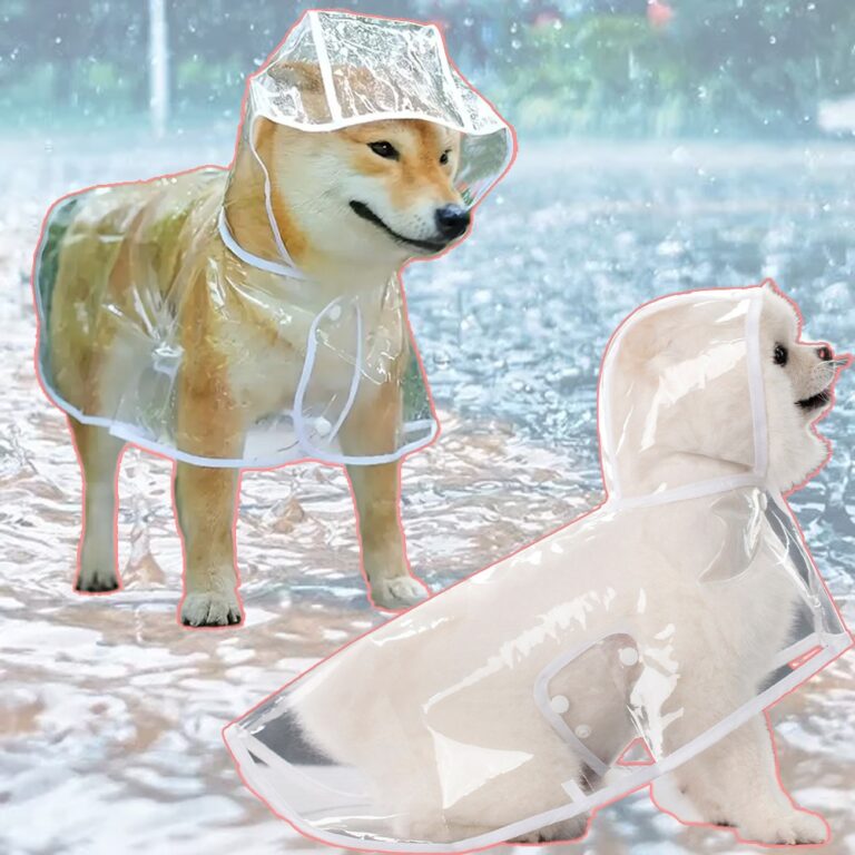 Capa De Chuva Para Cães Transparente Impermeável