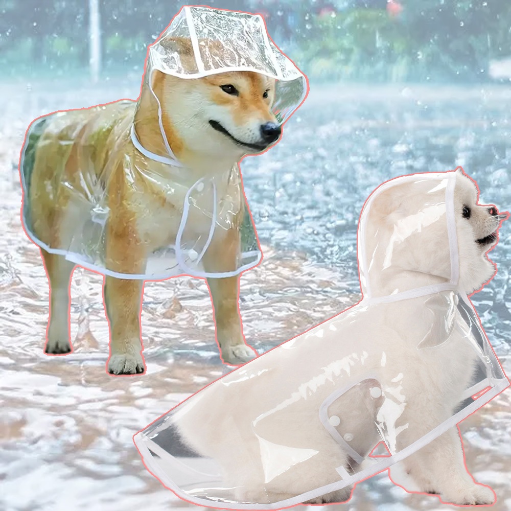 Capa De Chuva Para Cães Transparente Impermeável / Jaqueta Com Capuz Para Animal De Estimação
