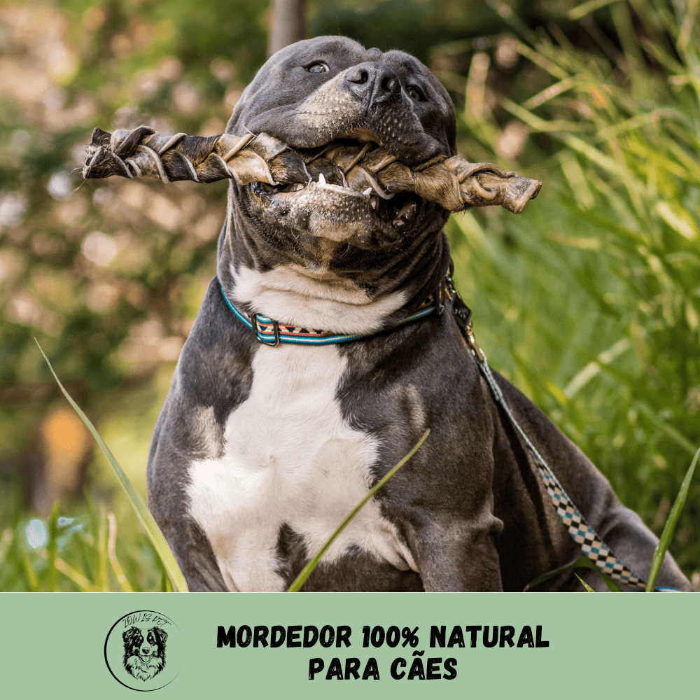 Trança de Couro Bovino para Cachorro Natuka – Mordedor Natural Pet P M G