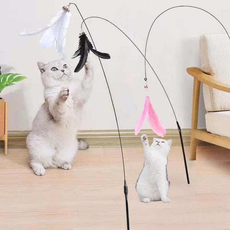 Brinquedo Alta Quanlidade Interativo Gato Varinha Pena Com Pino