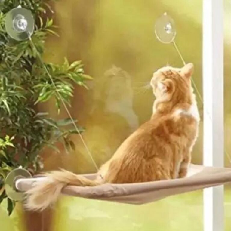 Cama Suspensa de Janela para Gato Pet Caminha Rede