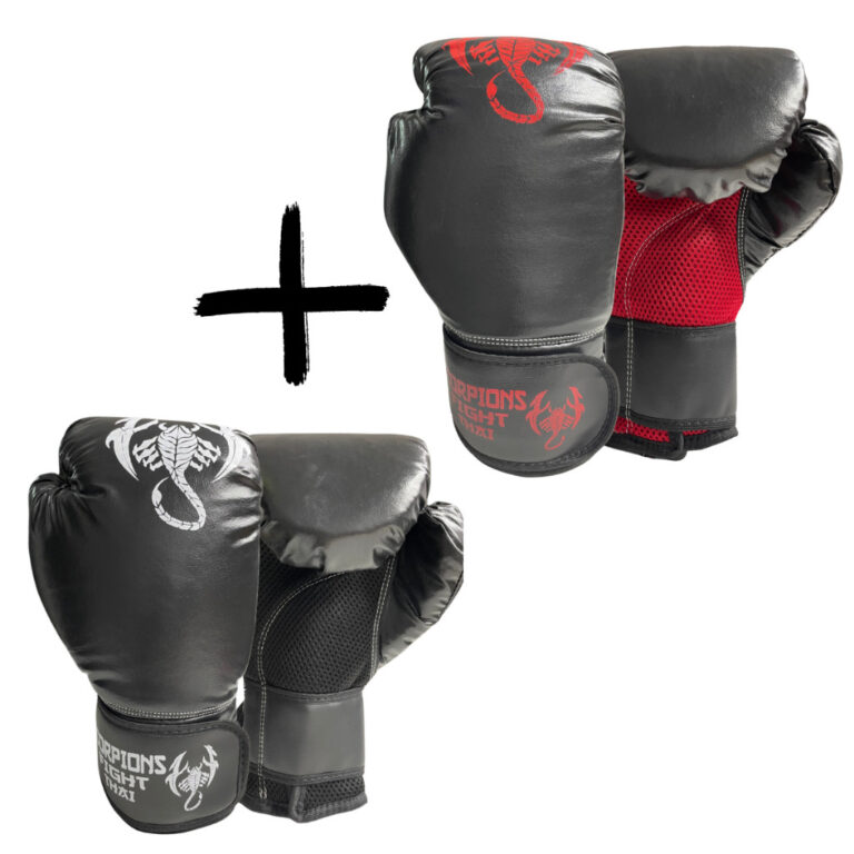 Kit 2 Pares de Luvas Boxe Muay Thai + Sacola Brind