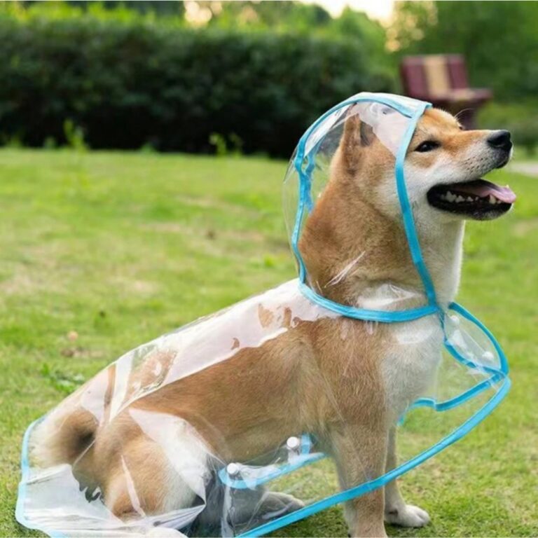 Capa De Chuva Para Cachorro Pet Impermeável Prote