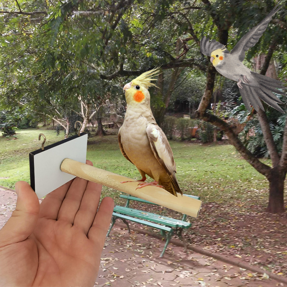 Poleiro para Gaiola e Viveiro 19mm Conforto e Segurança para Pássaros | Calopsita, Periquito e Aves