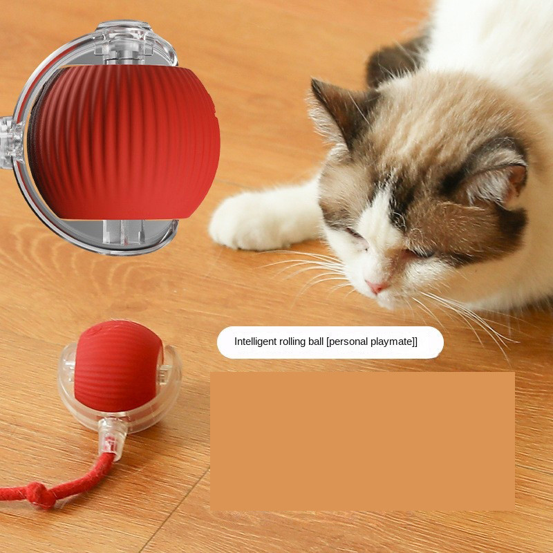 Cauda Falsa Recarregável ElétricoBrinquedos Inteligentes Para Gatos Bola De Rolamento Automática