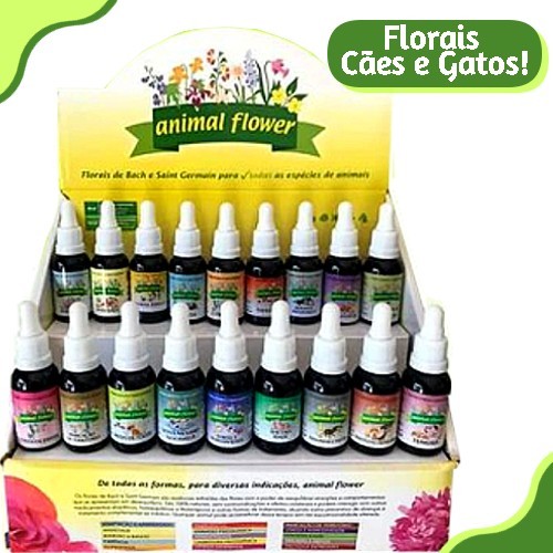 Floral Pet Animal Flower 30ml Vários Tratamentos 