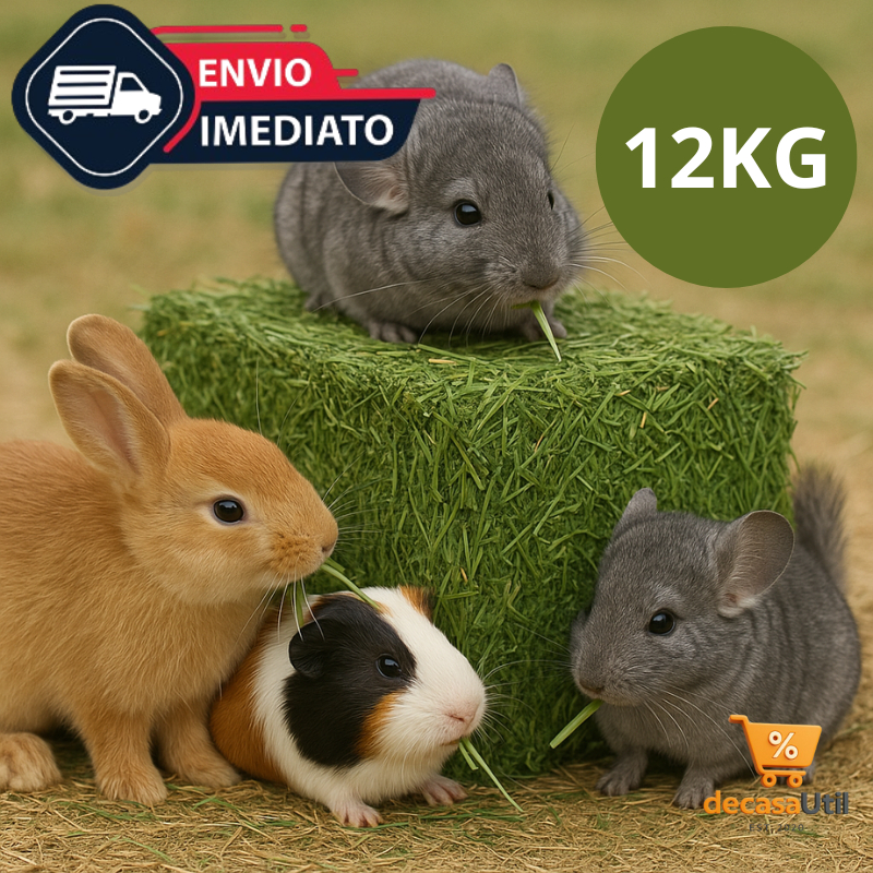 12kg Feno Premium Verdinho para Porquinho da India Coelho / Fabricação artesanal
