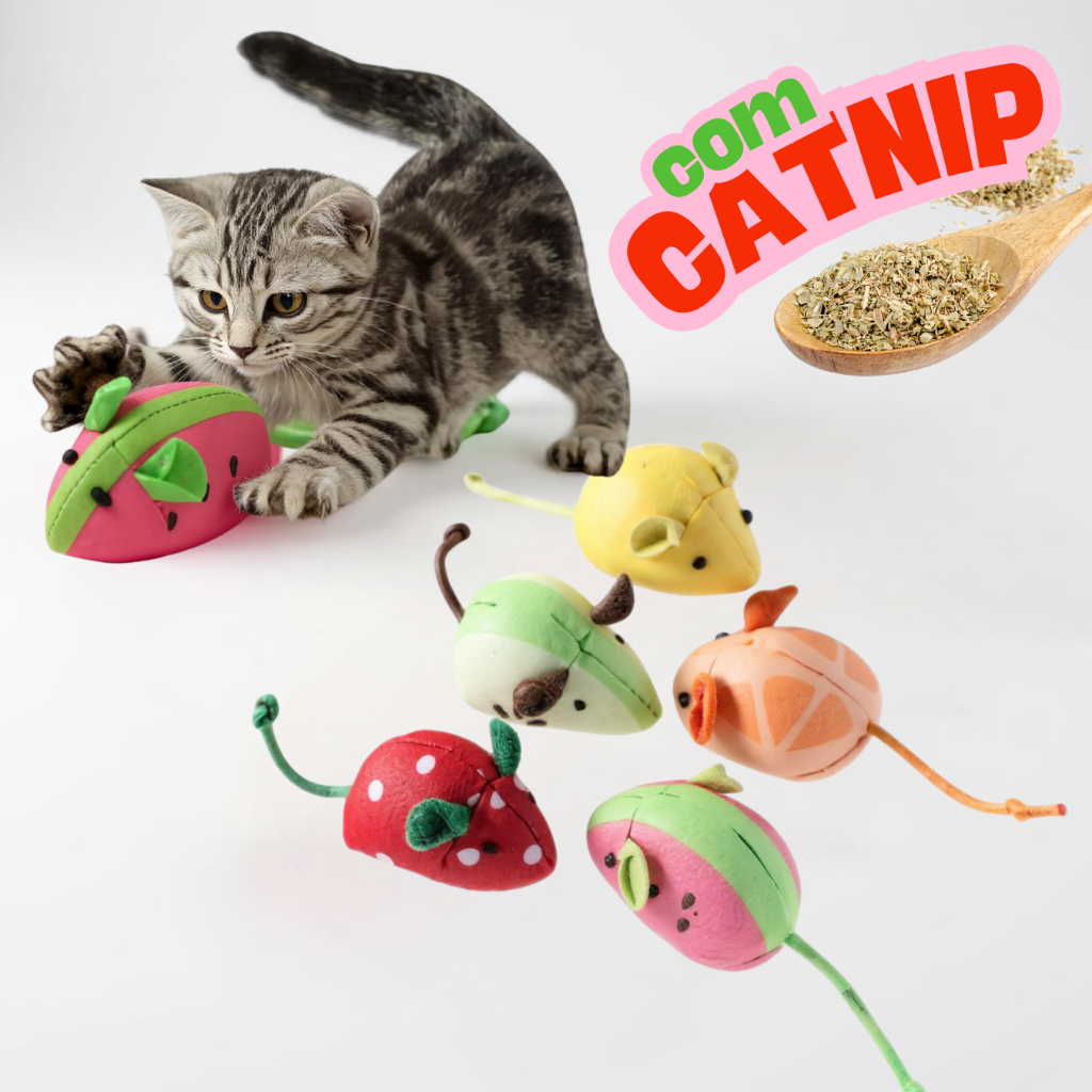 Kit Catnip Ratinhos Brinquedo Gatinhos 3 / 6 / 9 Unidades
