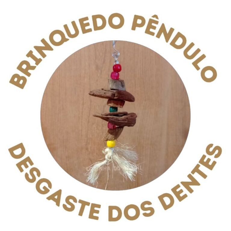 1 Mini Pêndulo para desgaste dos dentes de roedor