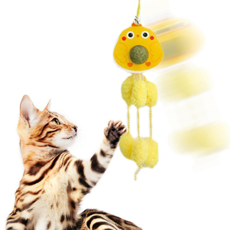 Brinquedo Para Gato Interativo Com Catnip Pendurar